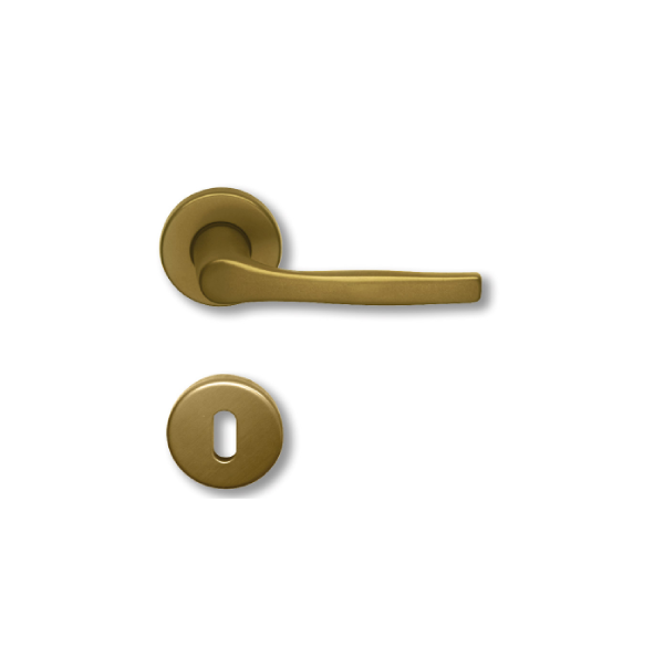 Ghidini MANIGLIA F4 CON ROSETTA