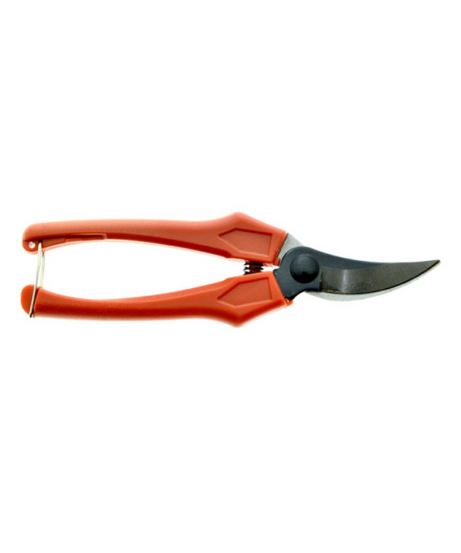 Forbice CogliFrutta Professionale 18 cm BURG