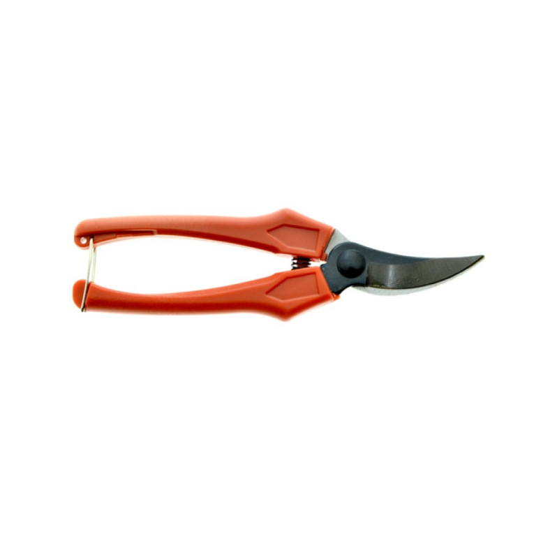 Forbice CogliFrutta Professionale 18 cm BURG