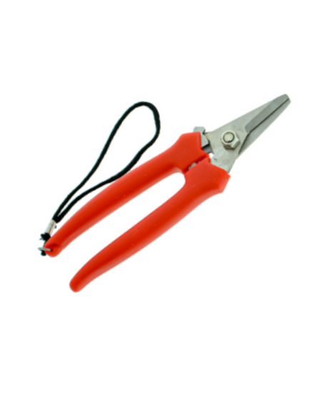 Forbice Cogliuva 165 mm Inox con Cinturino BURG