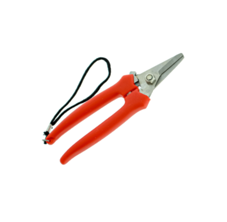 Forbice Cogliuva 165 mm Inox con Cinturino BURG