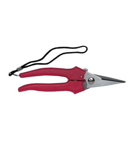 Forbice Cogliuva 190 acciaio INOX fermo cinturino