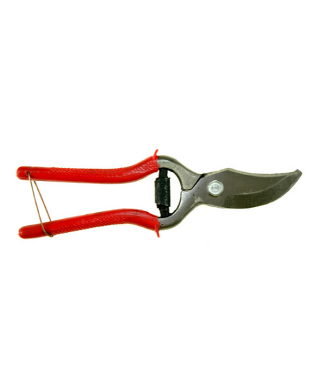Forbice Forgiata 21 cm manico metallo rivestito gomma