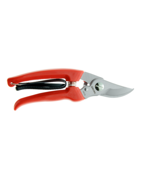 Forbice Pota 170 mm INOX