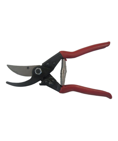 Forbice Pota Universale Professionale