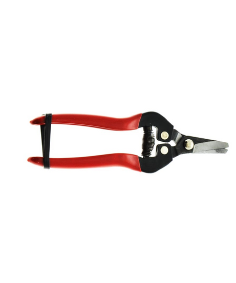 Forbice agrumi a punta curva 16cm