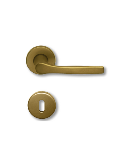 Ghidini MANIGLIA F4 CON ROSETTA
