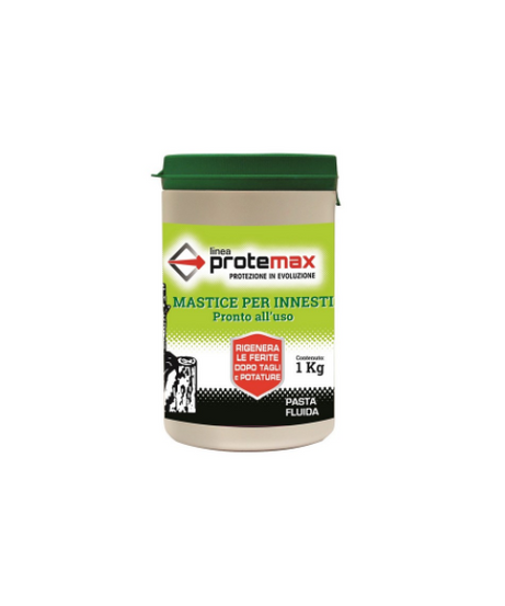 MASTICE PER INNESTI kg. 1