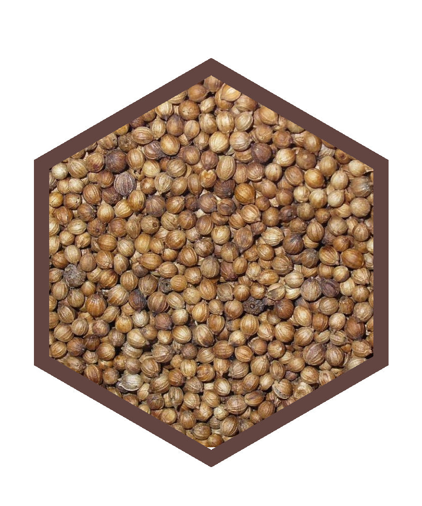 Semi di Coriandolo