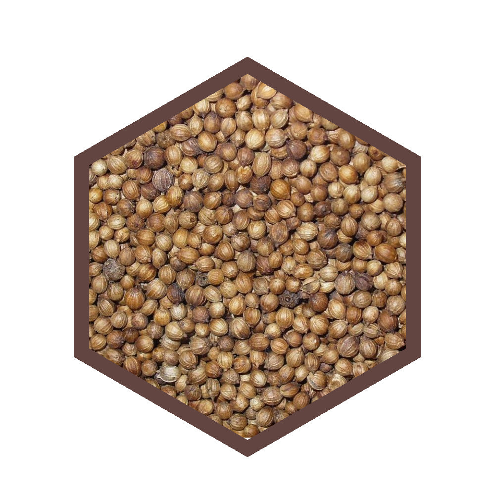 Semi di Coriandolo