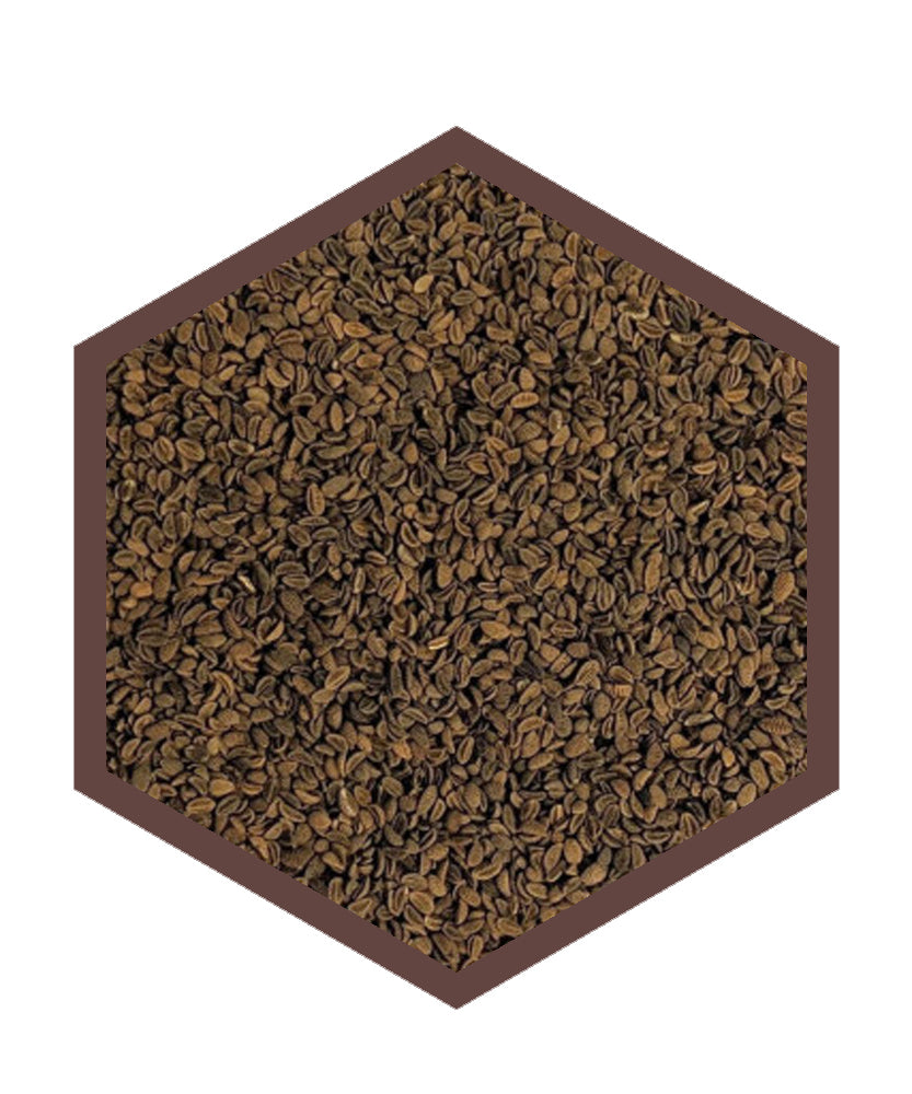 Semi di Facelia